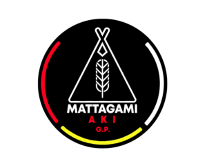 Partner logo